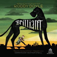 Brilliant Audiobook, by Roddy Doyle