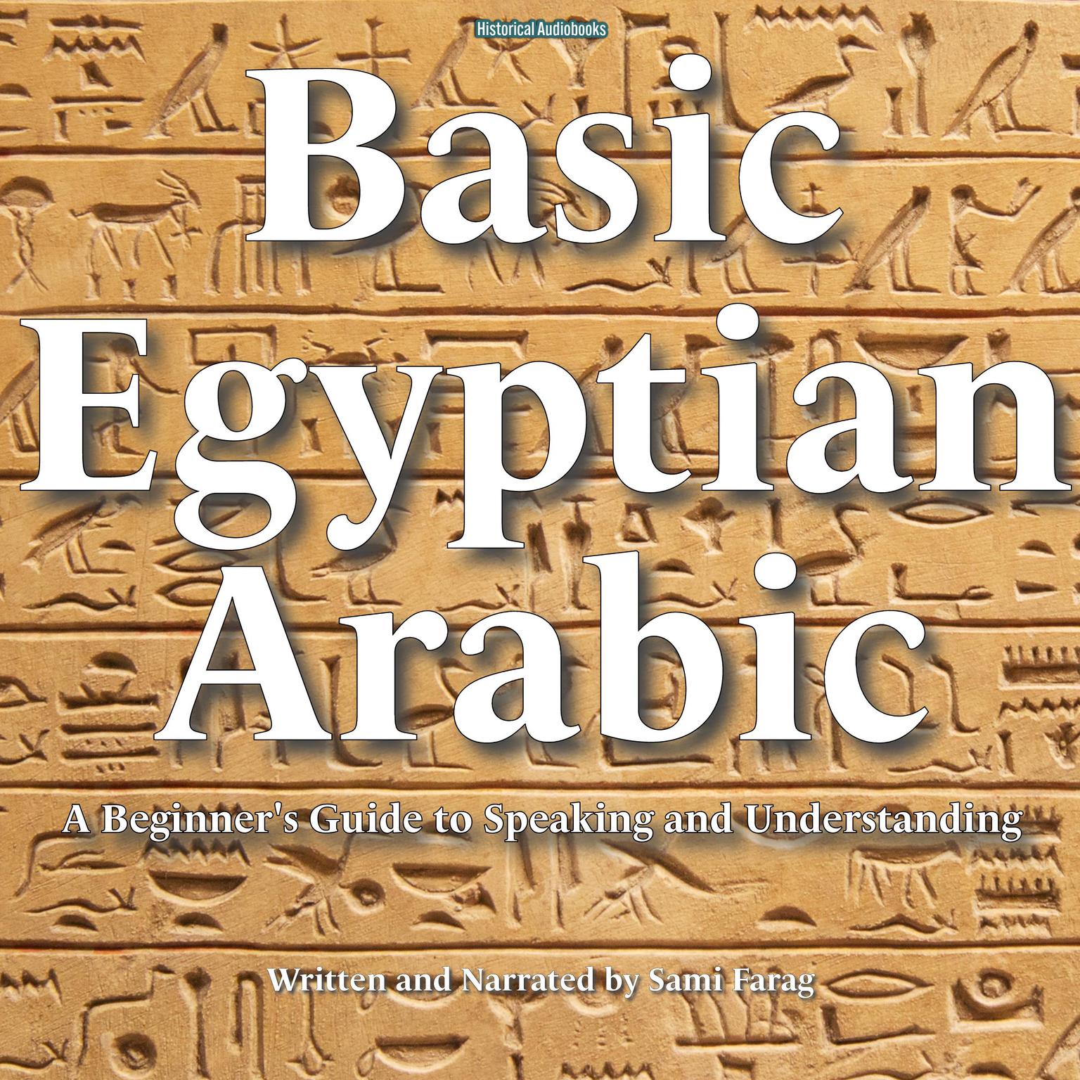 Basic Egyptian Arabic Audiobook, by Sami Farag