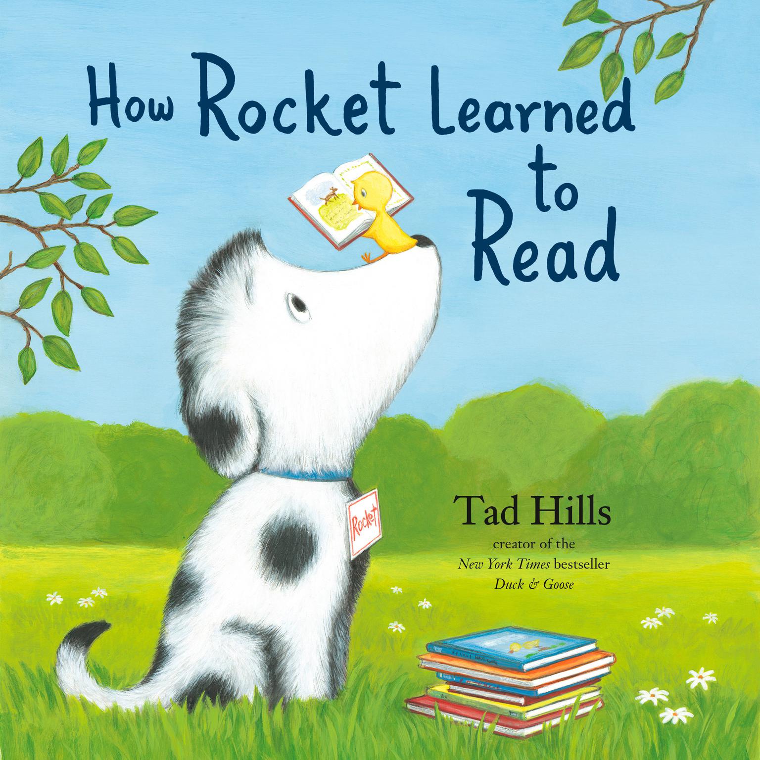 How Rocket Learned to Read Audiobook, by Tad Hills