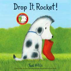 Drop It, Rocket! Audiobook, by Tad Hills