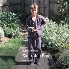 Excitable Boy: Essays on Risk Audiobook, by Dominic Gordon
