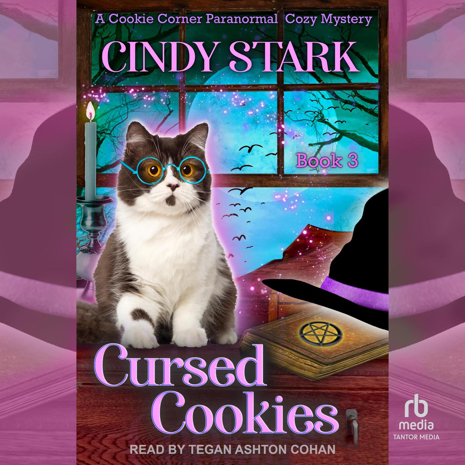 Cursed Cookies Audiobook, by Cindy Stark