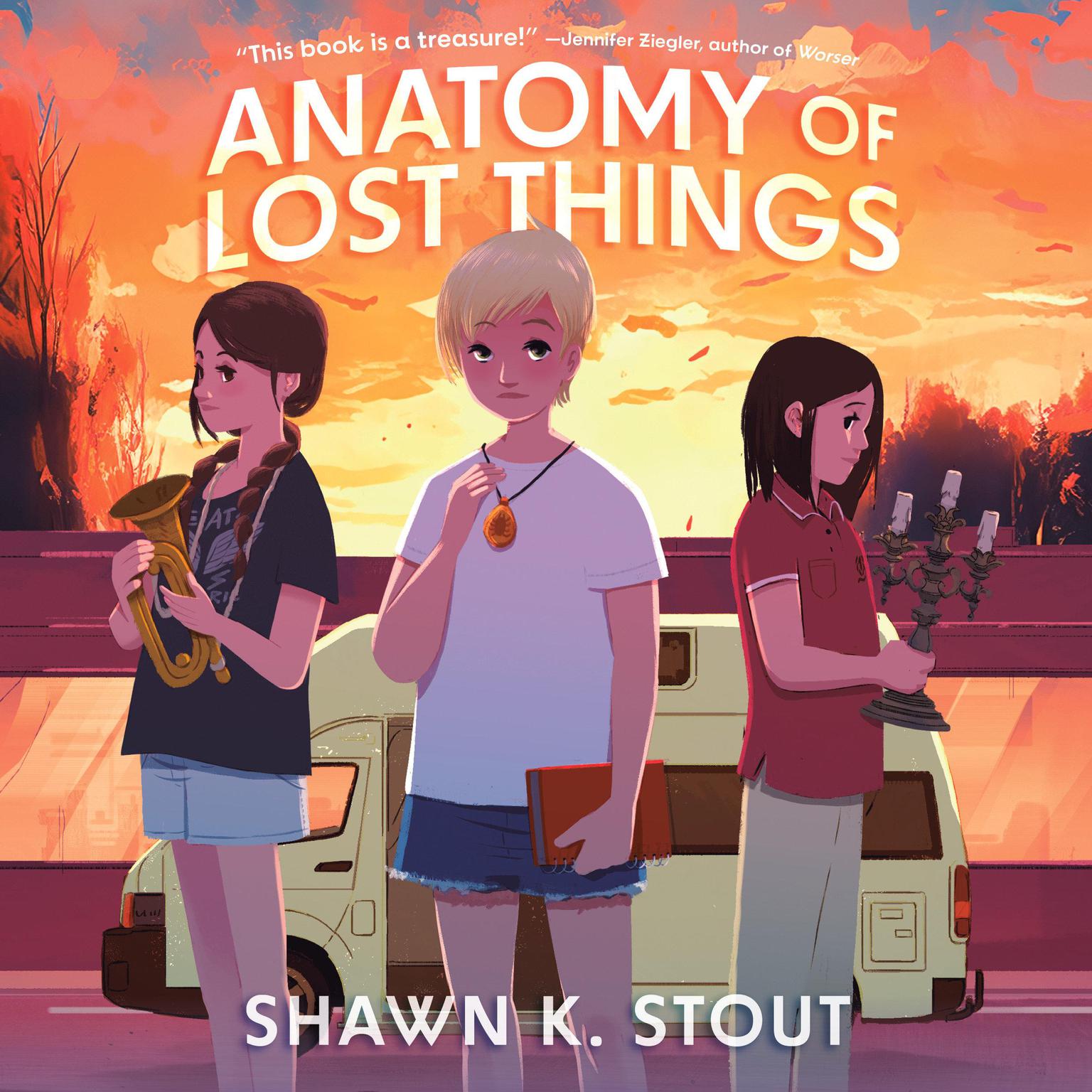 Anatomy of Lost Things Audiobook, by Shawn K. Stout