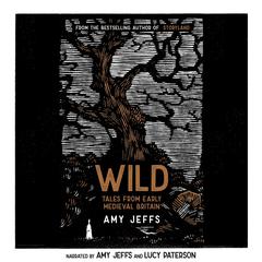 Wild: Tales from Early Medieval Britain Audiobook, by Amy Jeffs