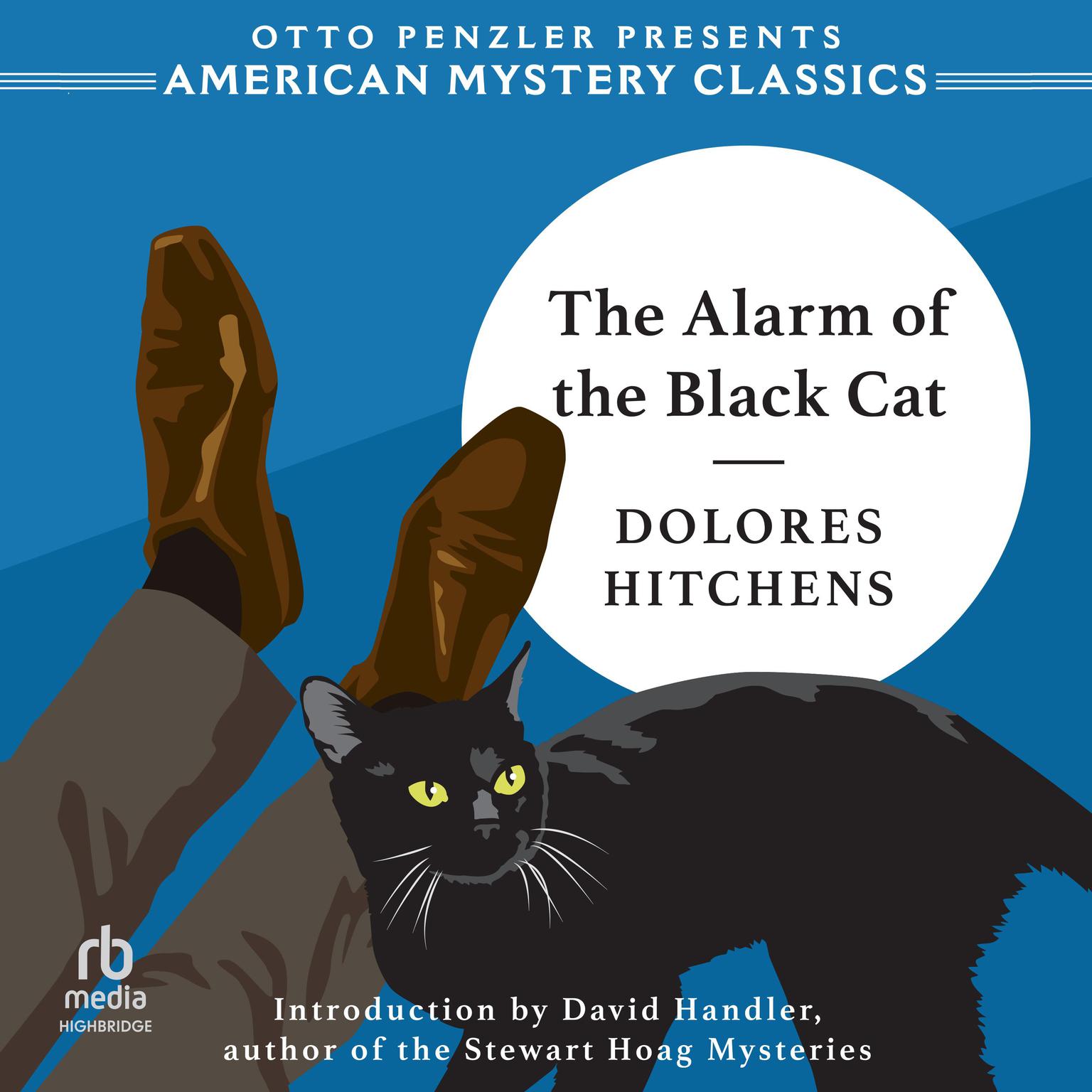The Alarm of the Black Cat Audiobook, by Dolores Hitchens