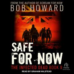 Safe for Now Audiobook, by Bob Howard