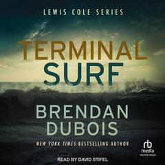 Terminal Surf Audiobook, by Brendan DuBois