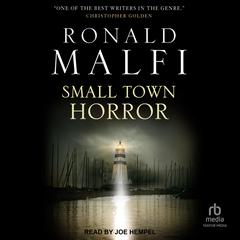 Small Town Horror Audiobook, by Ronald Malfi
