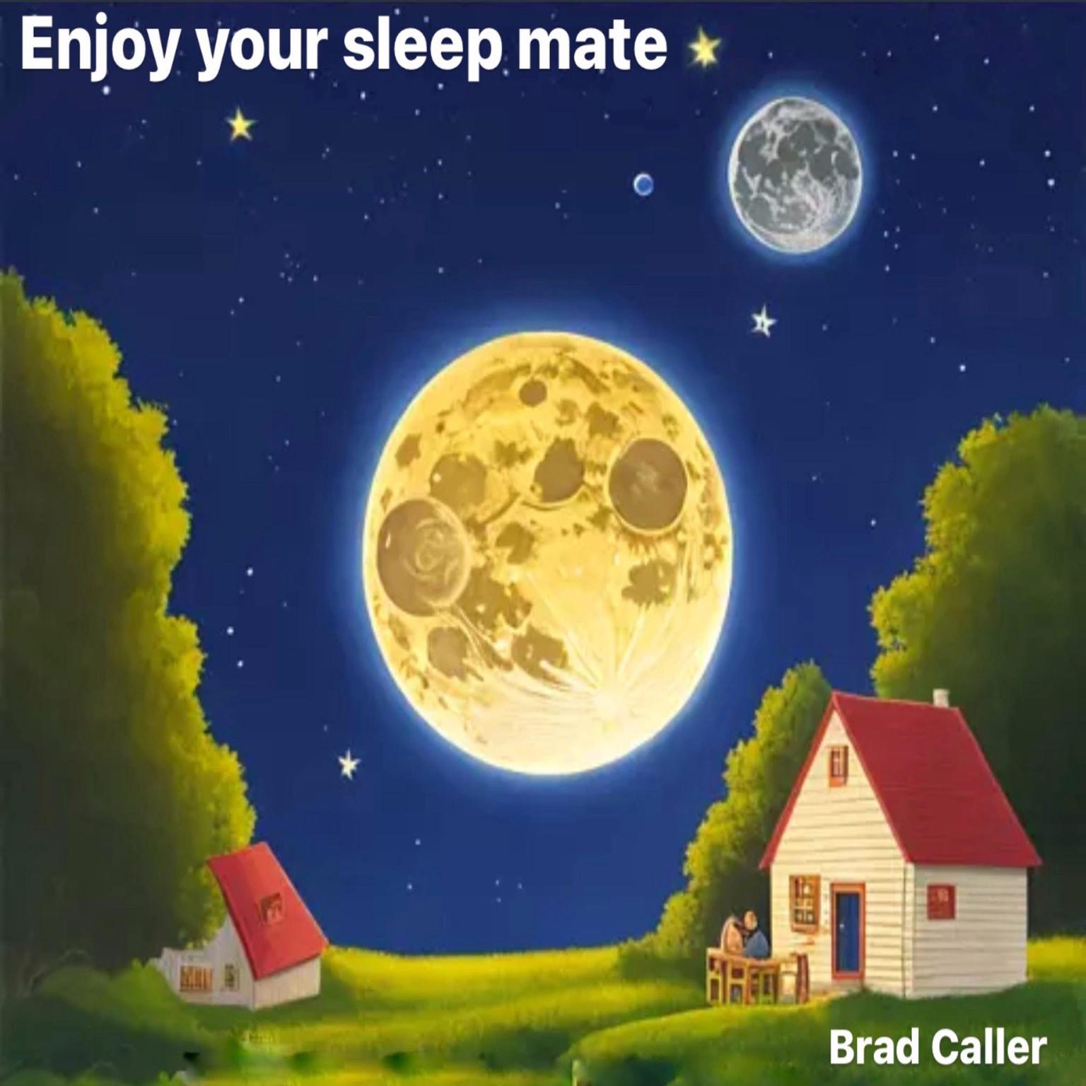 Enjoy your sleep mate Audiobook, by Brad Caller