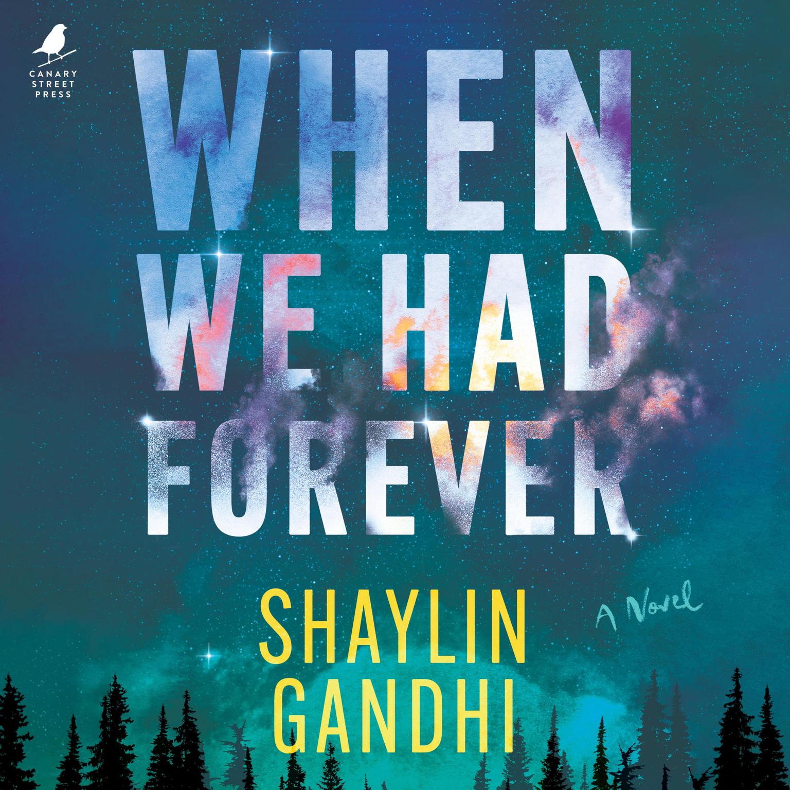 When We Had Forever Audiobook, by Shaylin Gandhi