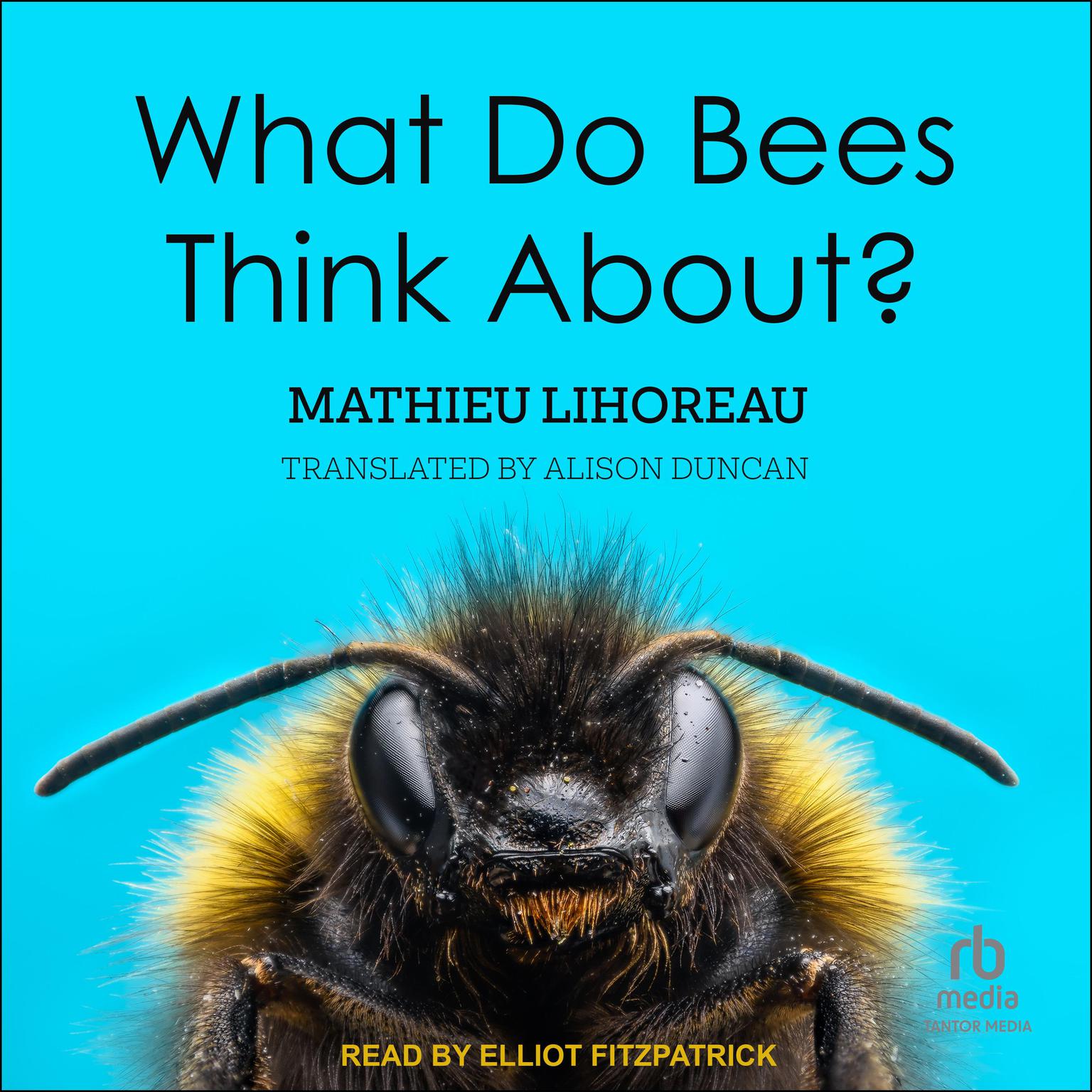 What Do Bees Think About? Audiobook, by Mathieu Lihoreau