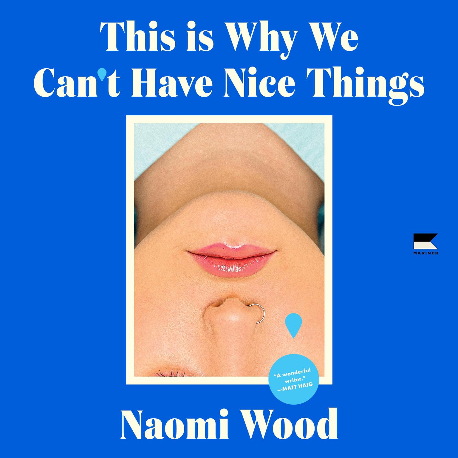 This Is Why We Can’t Have Nice Things Audiobook, by Naomi Wood