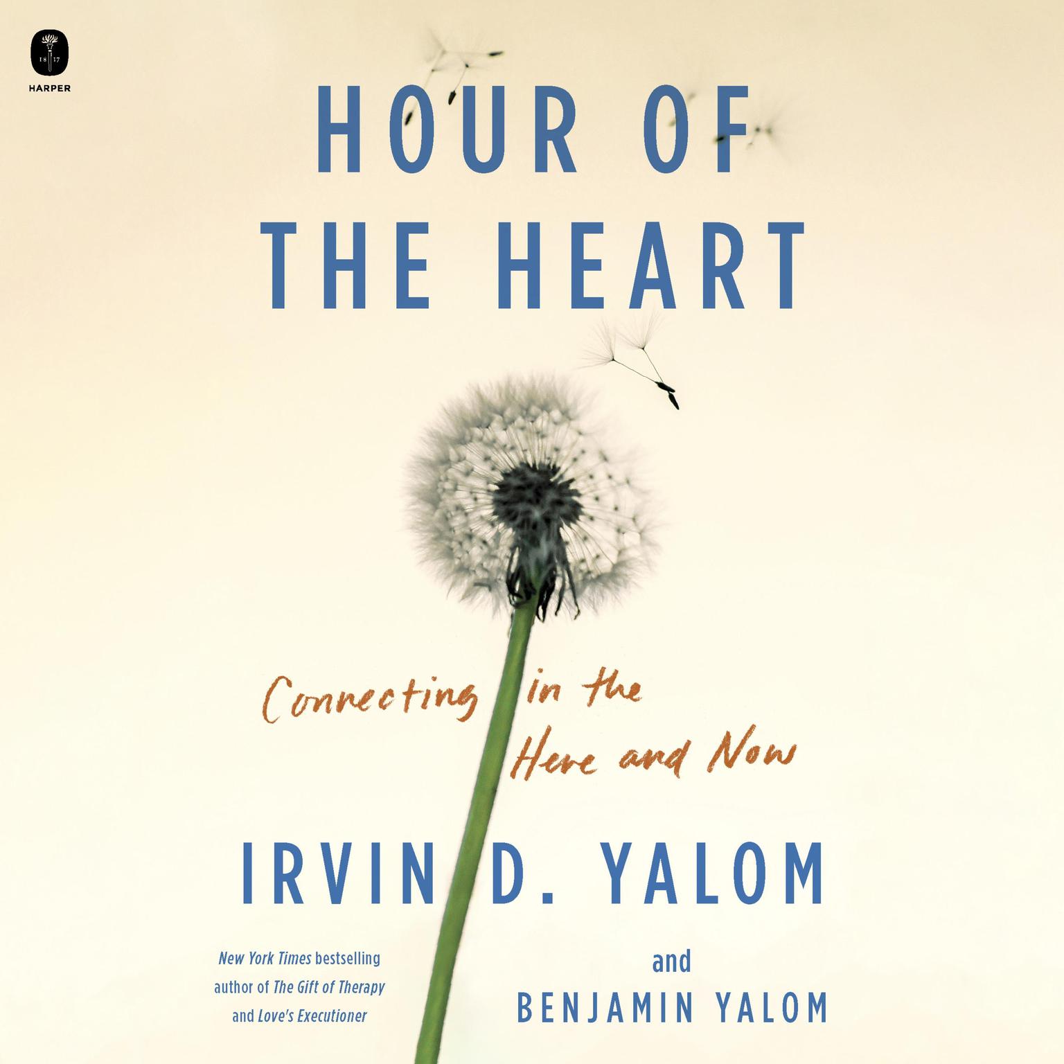 Hour of the Heart: Connecting in the Here and Now Audiobook, by Irvin D. Yalom