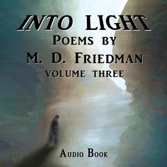 Into Light Volume Three Audiobook, by M. D. Friedman