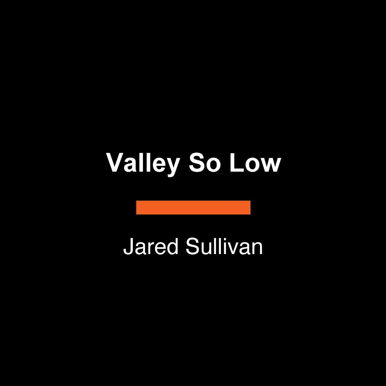 Valley So Low: One Lawyers Fight for Justice in the Wake of Americas Great Coal Catastrophe Audiobook, by Jared Sullivan