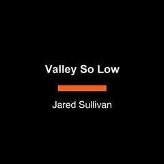 Valley So Low: One Lawyer's Fight for Justice in the Wake of America's Great Coal Catastrophe Audibook, by Jared Sullivan