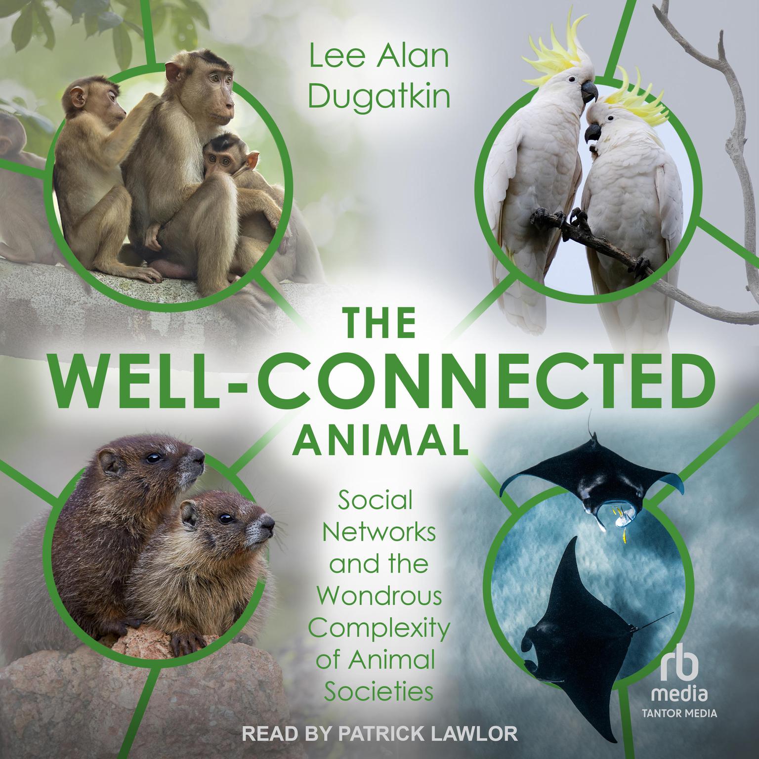 The Well-Connected Animal: Social Networks and the Wondrous Complexity of Animal Societies Audiobook, by Lee Alan Dugatkin