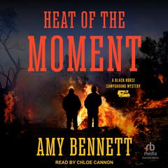 In The Heat of the Moment Audibook, by Amy Bennett