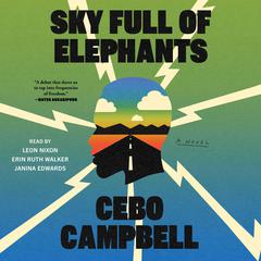 Sky Full of Elephants: A Novel Audiobook, by Cebo Campbell