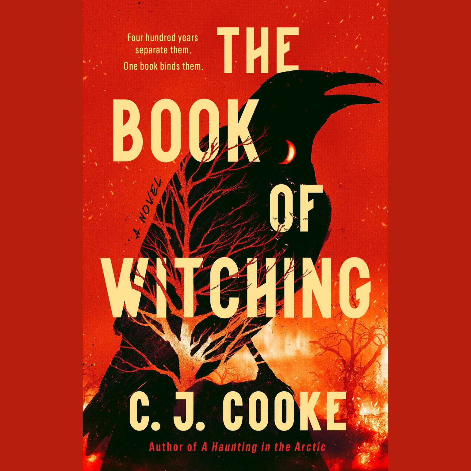 The Book of Witching Audiobook, by CJ Cooke