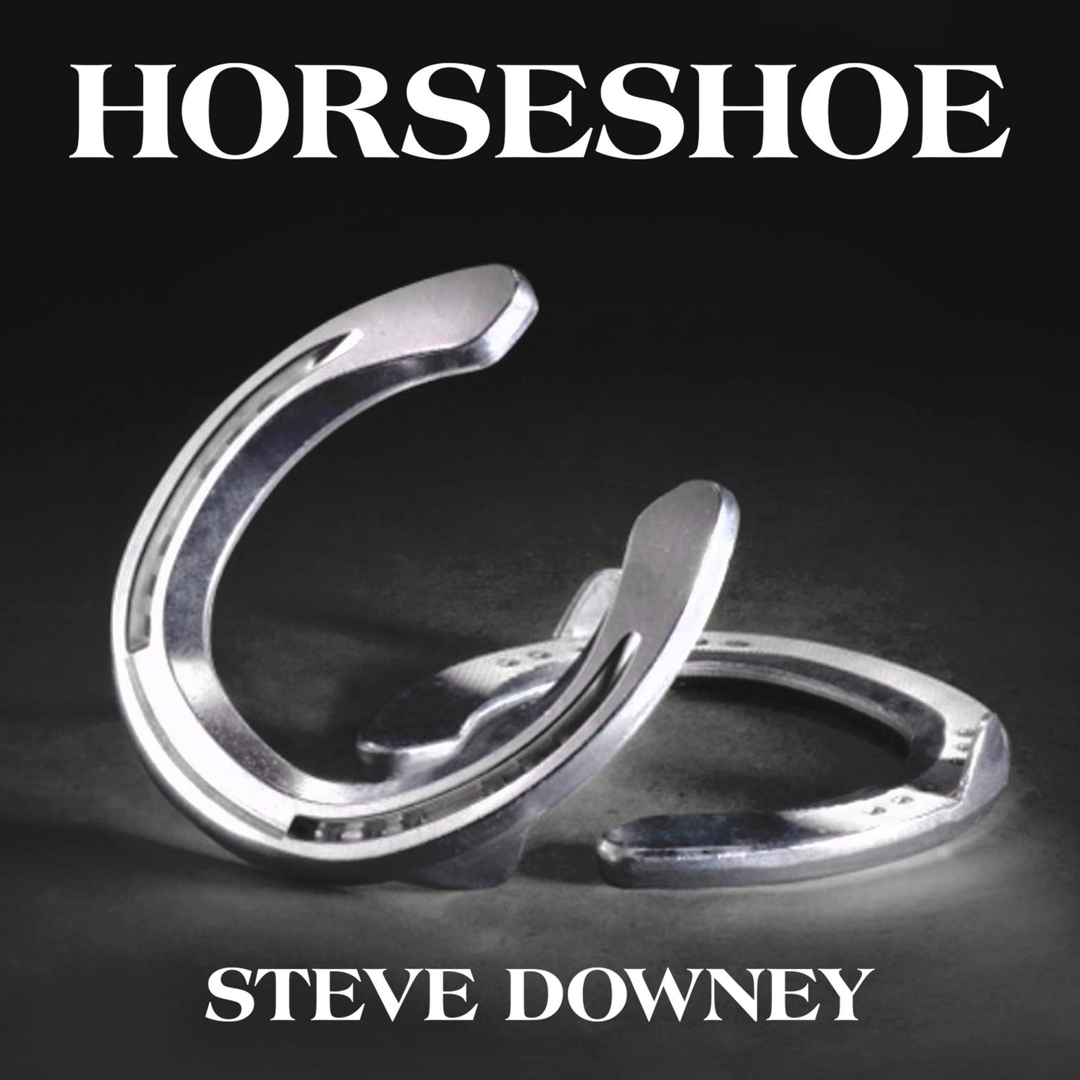 Horseshoe (Abridged) Audiobook, by Steve Downey