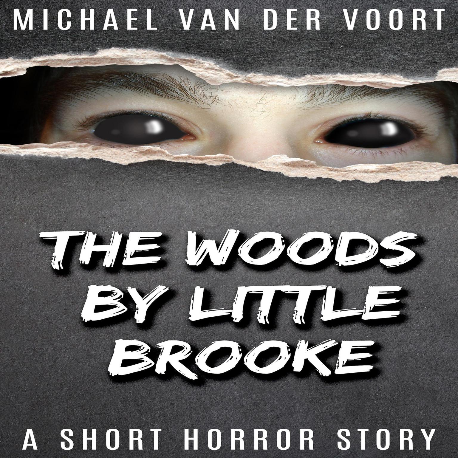 The Woods By Little Brooke Audiobook, by Michael H van der Voort