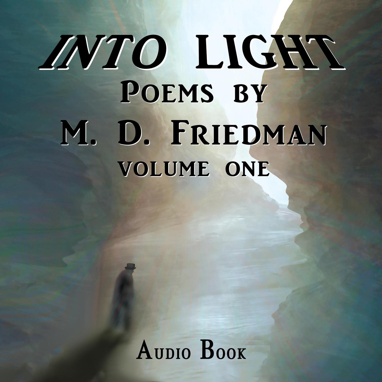 Into Light Volume One Audiobook, by M. D. Friedman