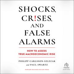 Shocks, Crises, and False Alarms: How to Assess True Macroeconomic Risk Audiobook, by Paul Swartz