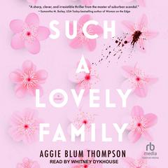 Such a Lovely Family Audiobook, by Aggie Blum Thompson