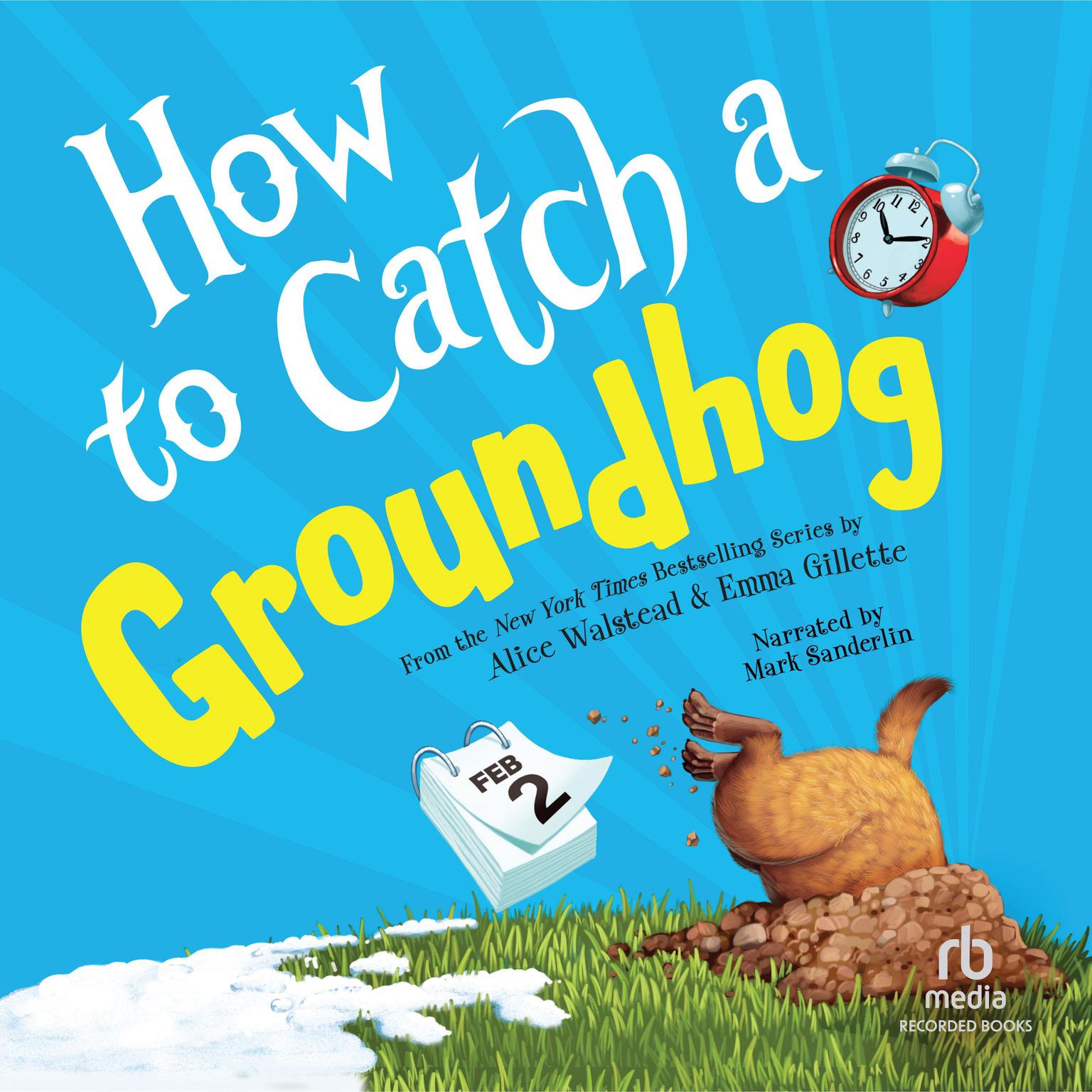 How to Catch a Groundhog Audiobook, by Alice Walstead