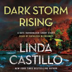 Dark Storm Rising Audiobook, by Linda Castillo