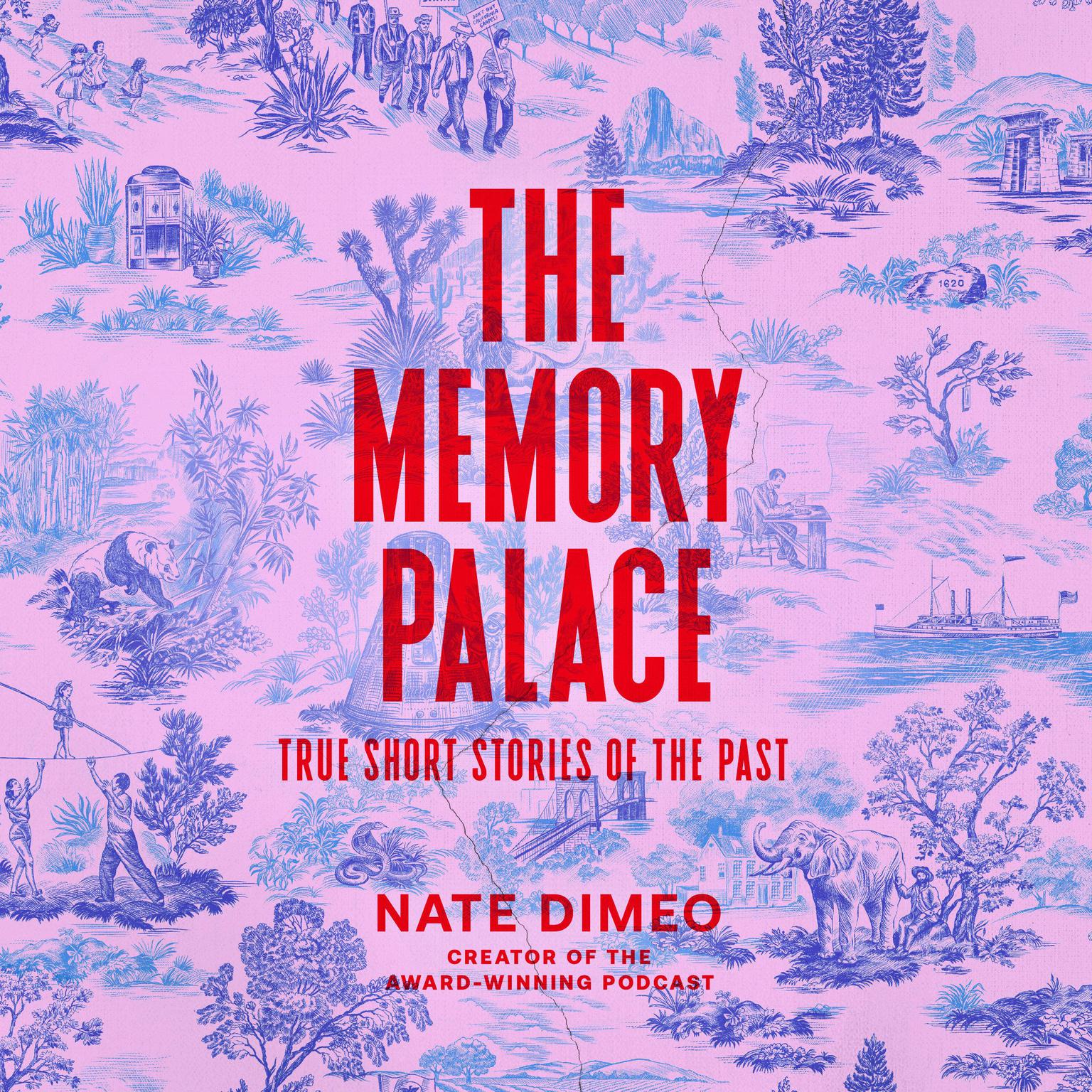 The Memory Palace: True Short Stories of the Past Audiobook, by Nate DiMeo