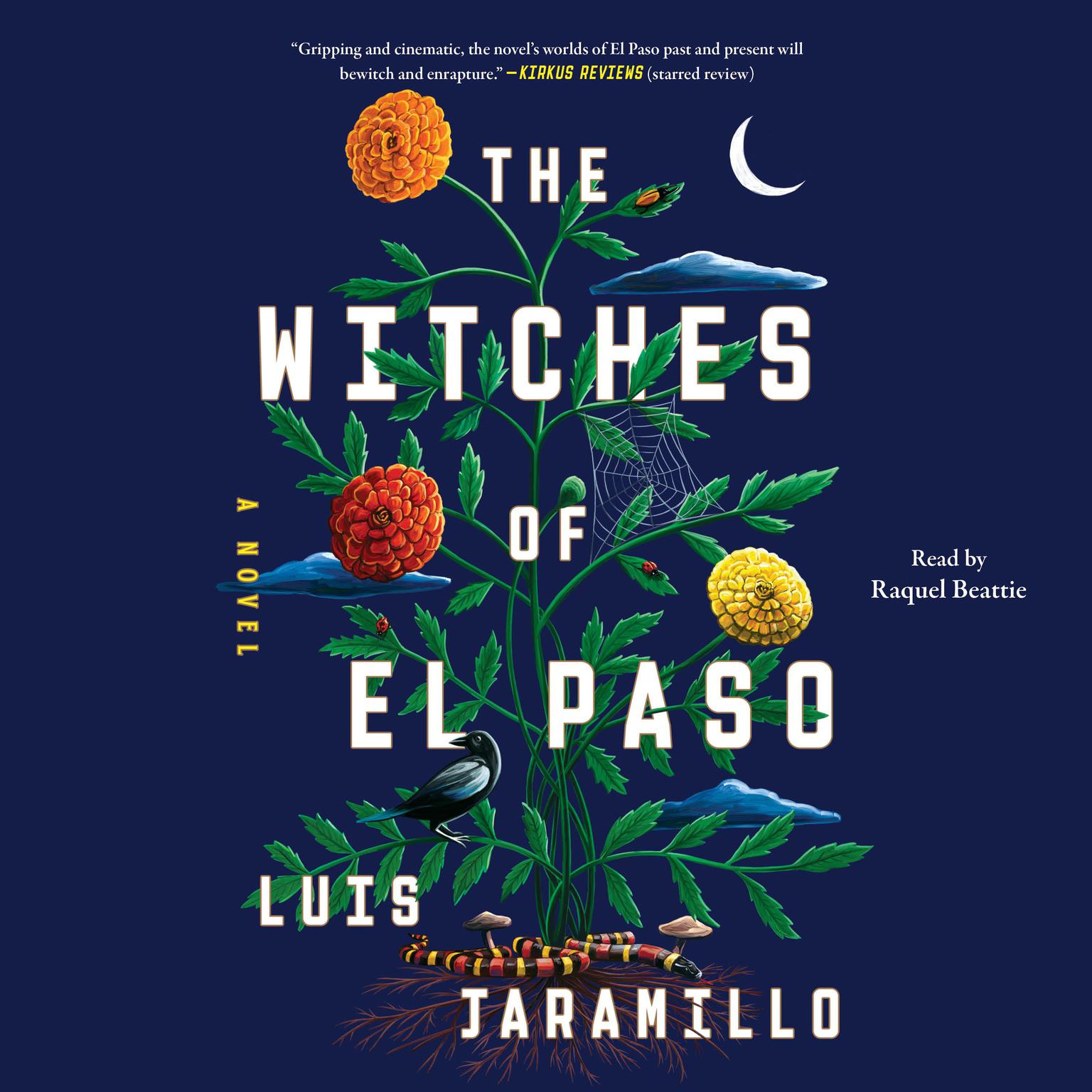 The Witches of El Paso: A Novel Audiobook, by Luis Jaramillo