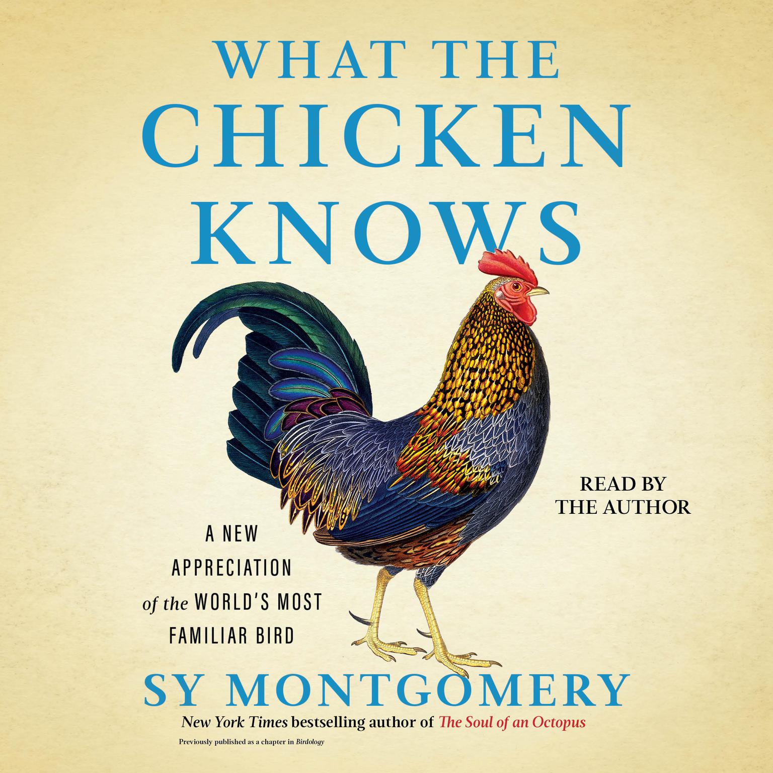 What the Chicken Knows: A New Appreciation of the Worlds Most Familiar Bird Audiobook, by Sy Montgomery