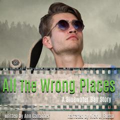 All the Wrong Places Audiobook, by Ann Gallagher