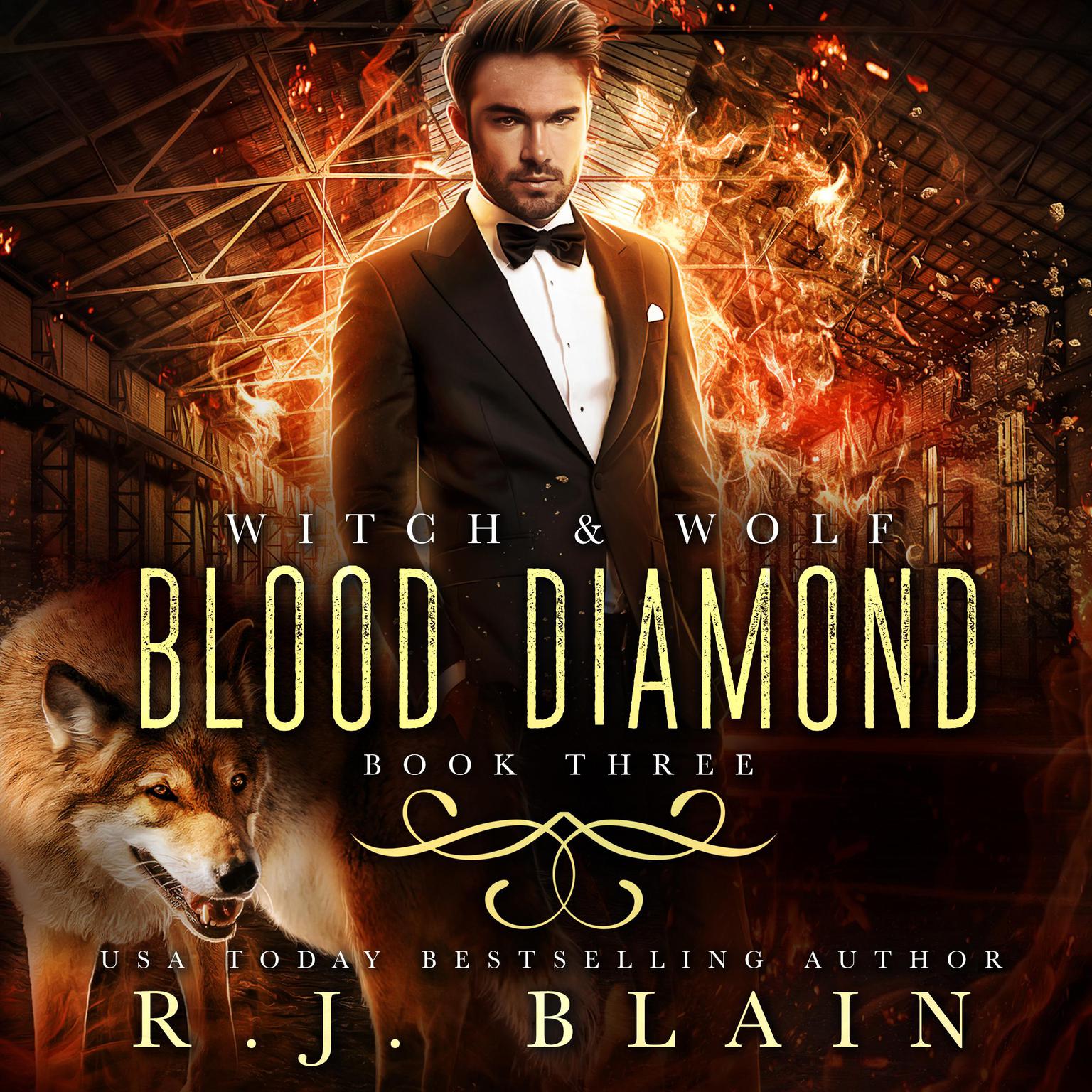 Blood Diamond: Witch &amp; Wolf #3 Audiobook, by RJ Blain