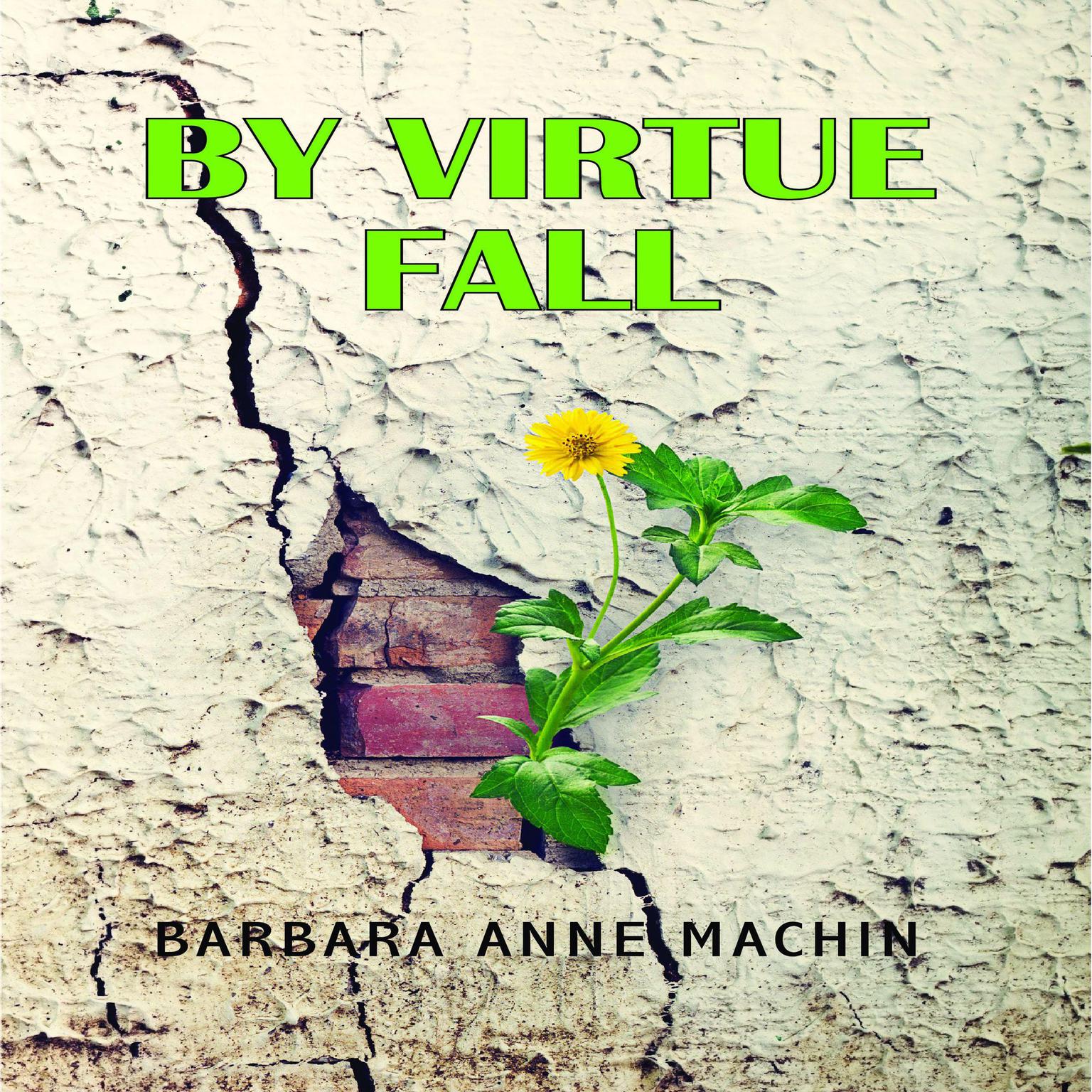 By Virtue Fall Audiobook, by Barbara Anne Machin