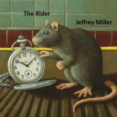 The Rider: Help from an Unexpected Source Audiobook, by Jeffrey Miller