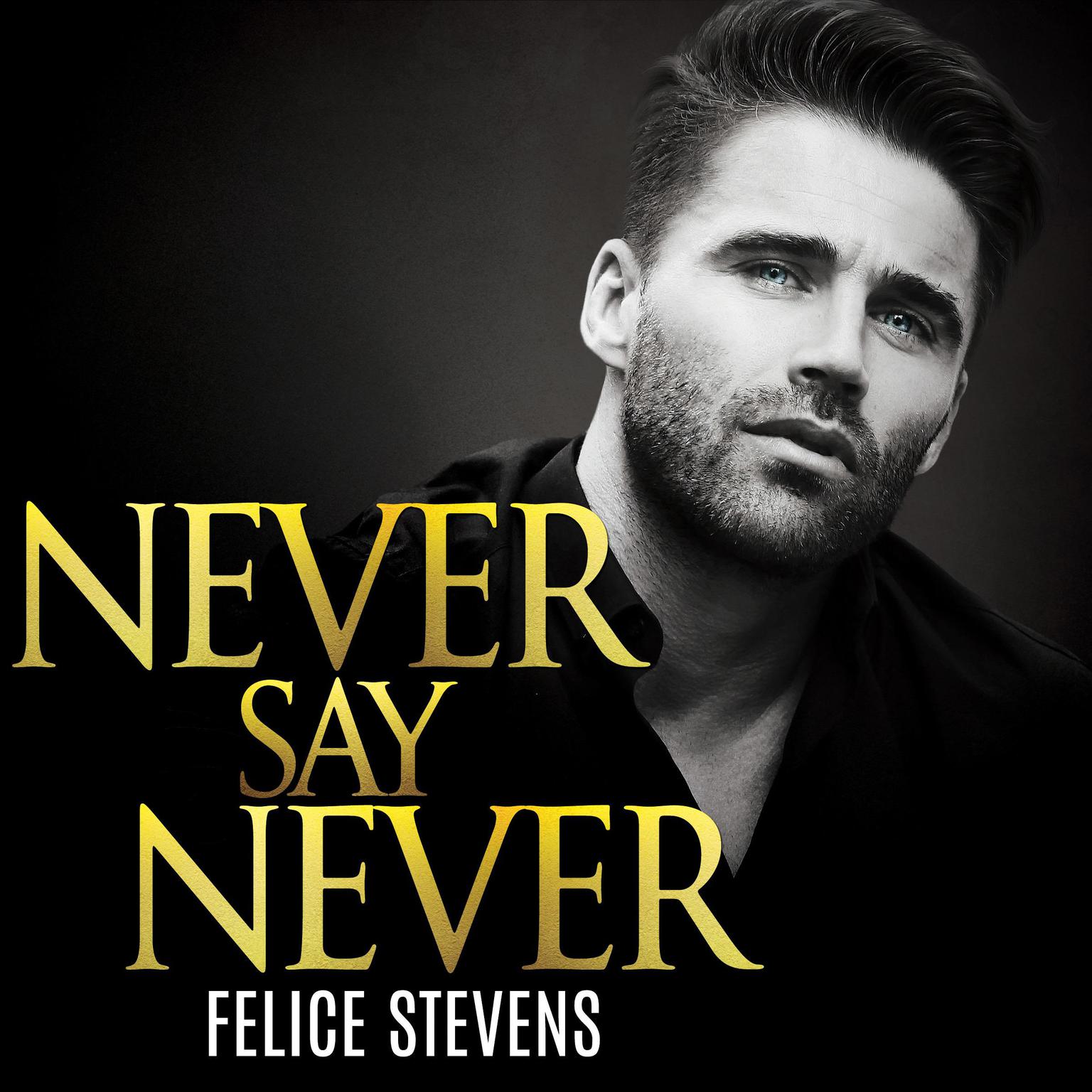 Never Say Never Audiobook, by Felice Stevens