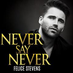 Never Say Never Audiobook, by Felice Stevens