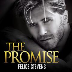 The Promise Audiobook, by Felice Stevens