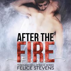 After the Fire: Through Hell And Back Volume 2 Audiobook, by Felice Stevens