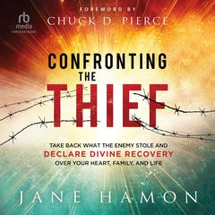 Confronting the Thief: Take Back What the Enemy Stole and Declare Divine Recovery over Your Heart, Family, and Life Audibook, by Jane Hamon