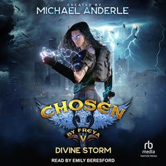 Divine Storm Audibook, by Michael Anderle