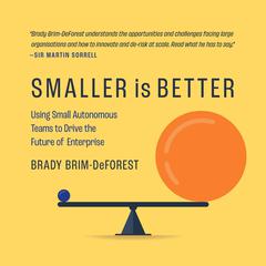 Smaller is Better: Using Small Autonomous Teams to Drive the Future of Enterprise Audiobook, by Brady Brim-DeForest