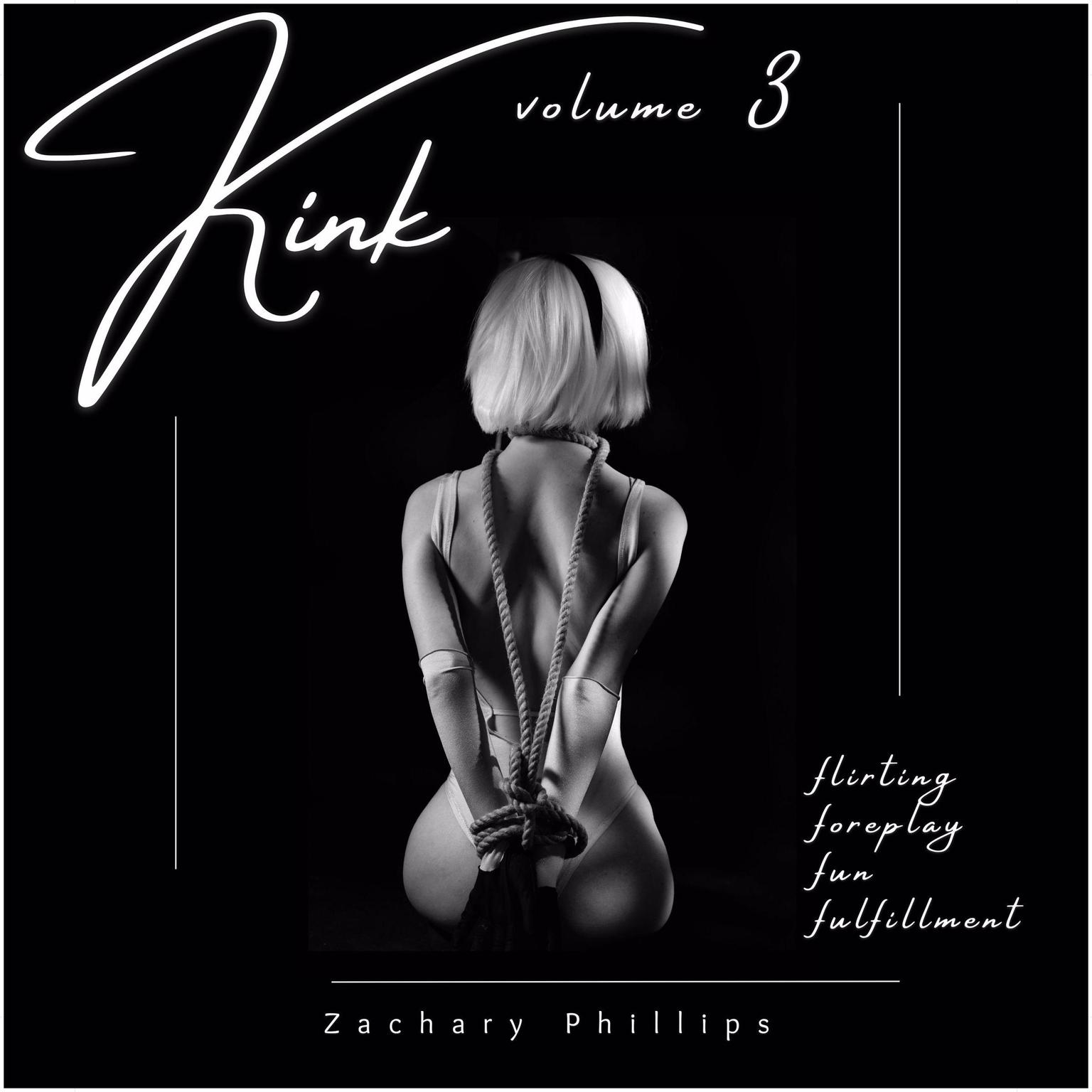 Kink: Volume 3 Audiobook, by Zachary Phillips