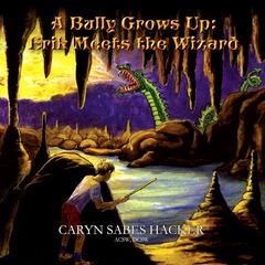 A Bully Grows Up: Erik Meets the Wizard Audiobook, by Caryn Sabes Hacker