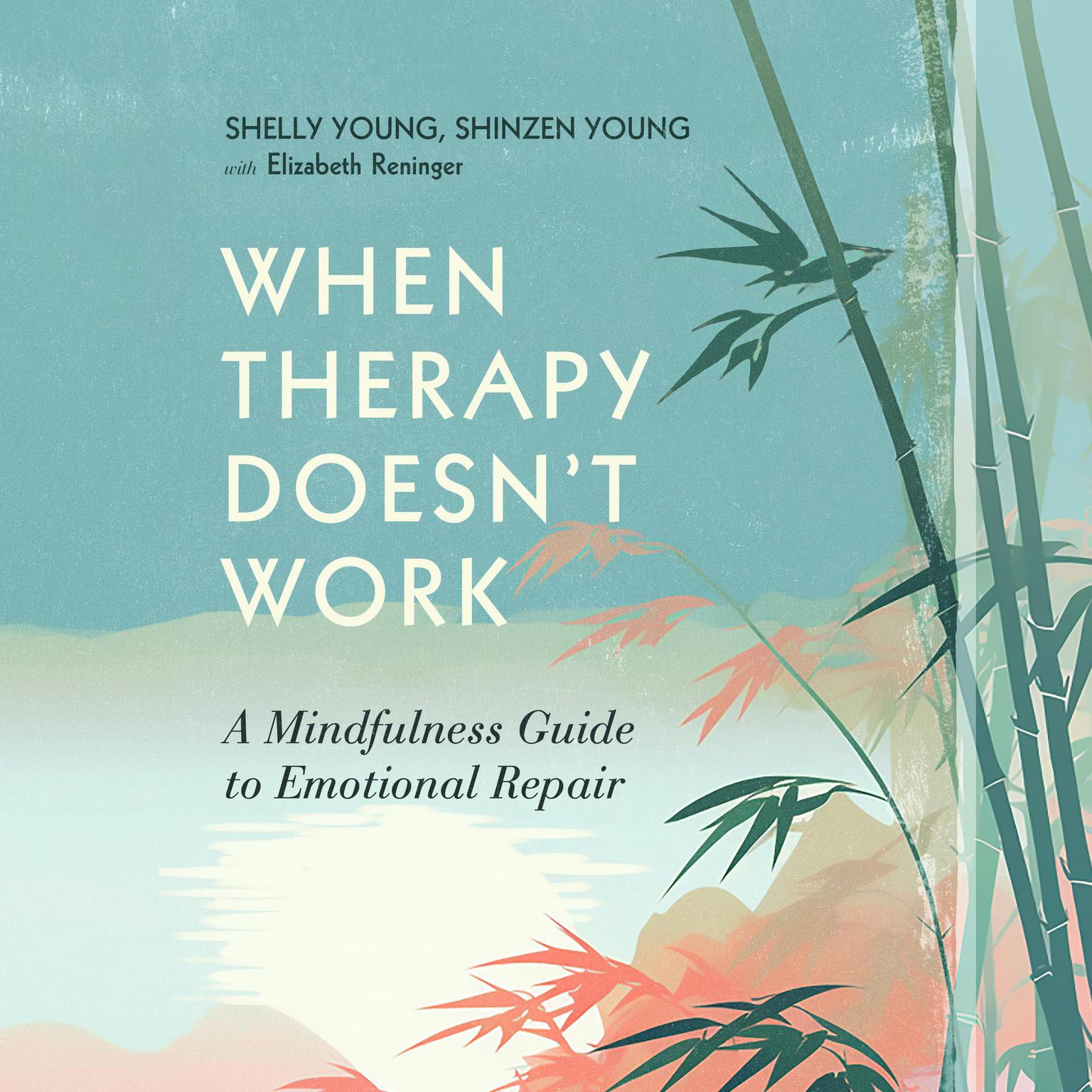 When Therapy Doesnt Work: A Mindfulness Guide to Emotional Repair Audiobook, by Elizabeth Reninger