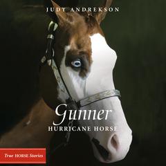 Gunner: Hurricane Horse Audiobook, by Judy Andrekson