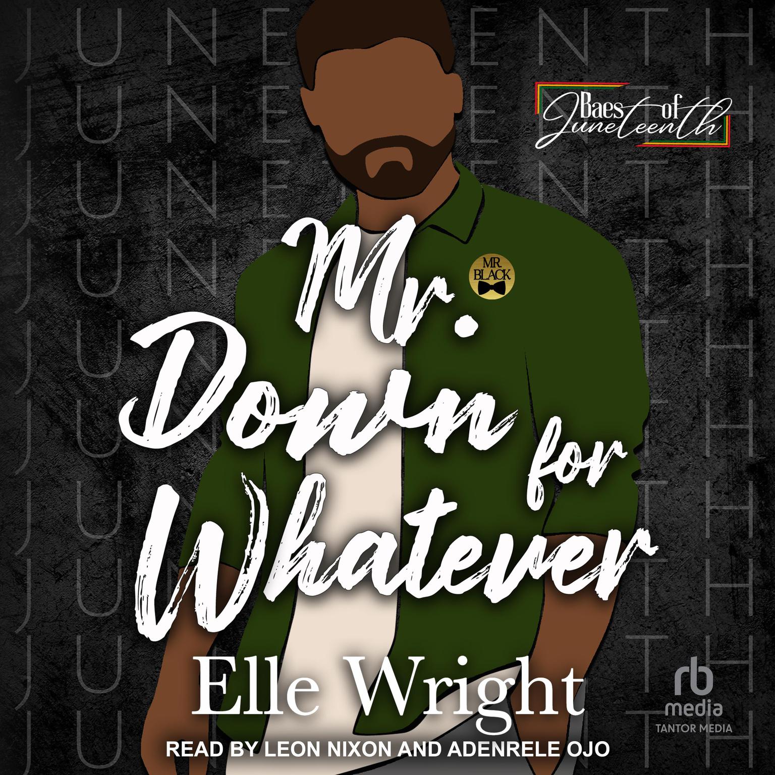 Mr. Down for Whatever Audiobook, by Elle Wright